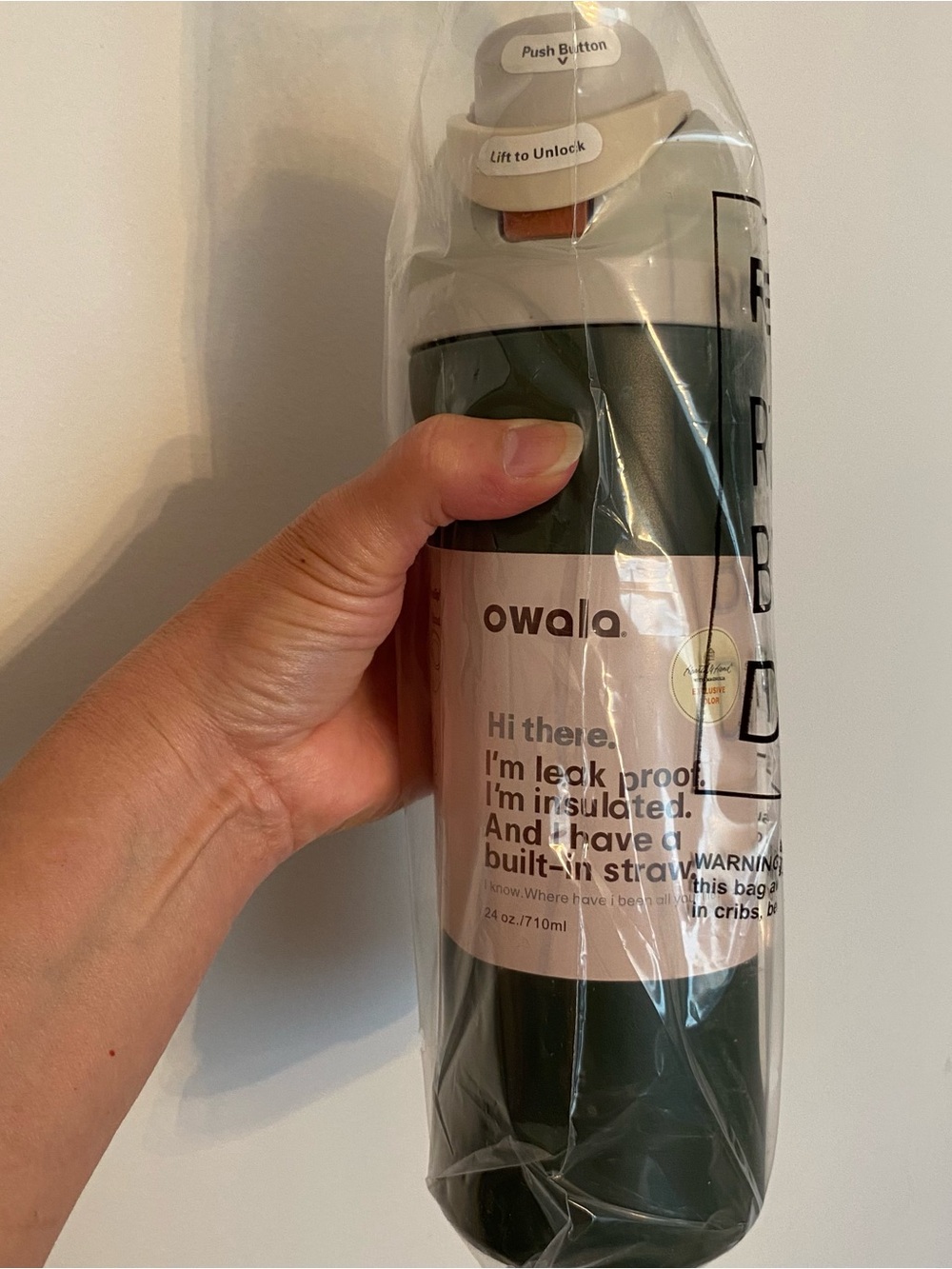 Owala 24 oz Insulated Water Bottle w/Straw Limited Edition Peaceful Pine